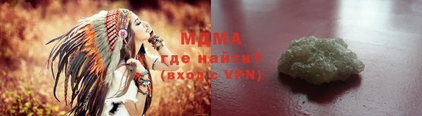 индика Алексин