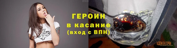 индика Алексин