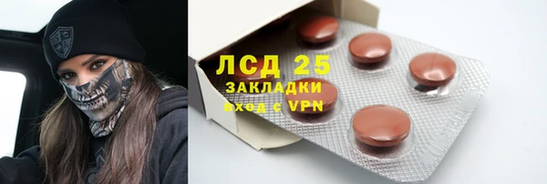 индика Алексин