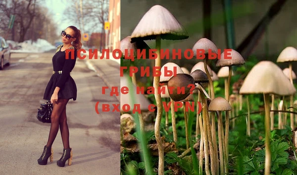индика Алексин