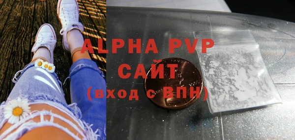 индика Алексин