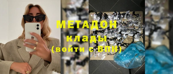 индика Алексин