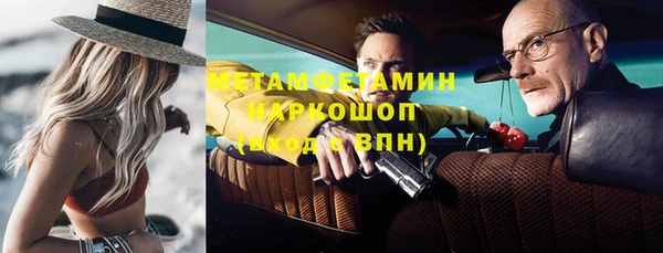 индика Алексин