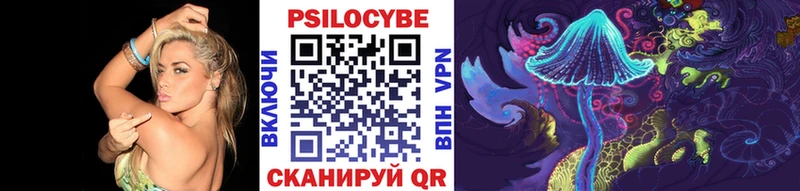 Псилоцибиновые грибы Cubensis  купить  сайты  Елец 